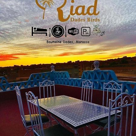 Riad Dades Birds Boumalne エクステリア 写真