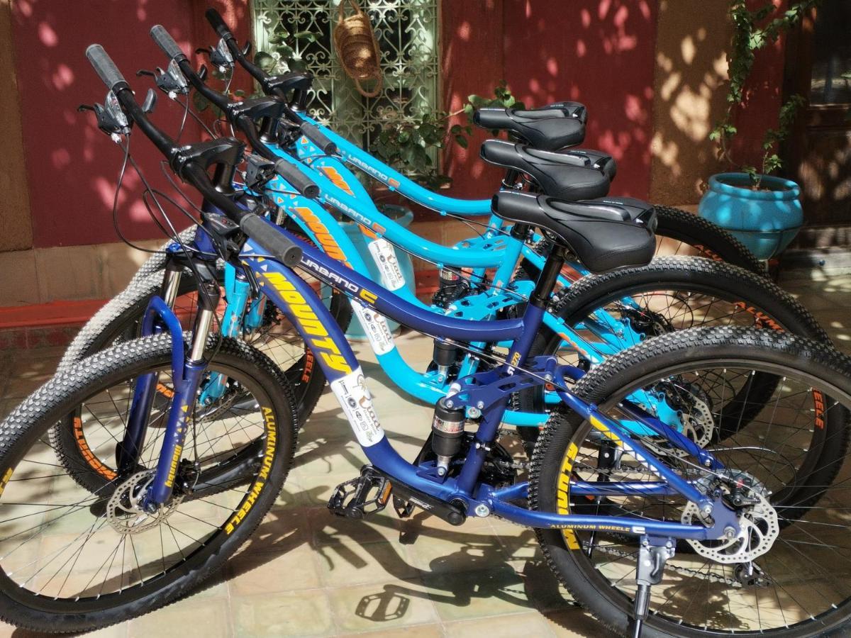 Riad Dades Birds Boumalne エクステリア 写真