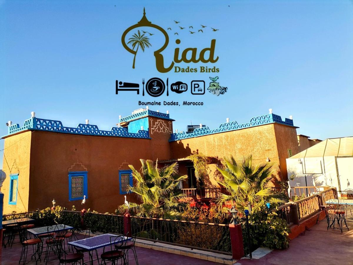 Riad Dades Birds Boumalne エクステリア 写真