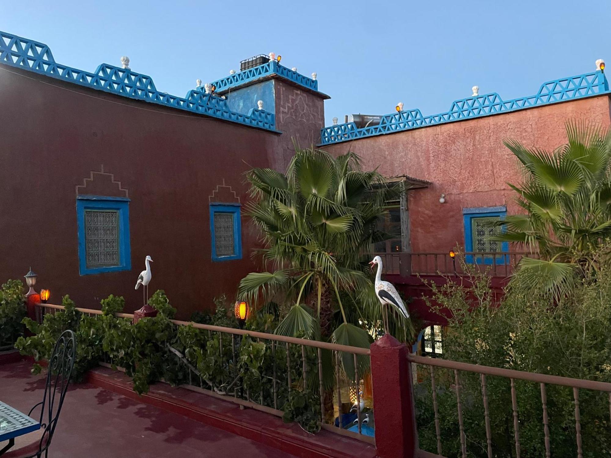 Riad Dades Birds Boumalne エクステリア 写真