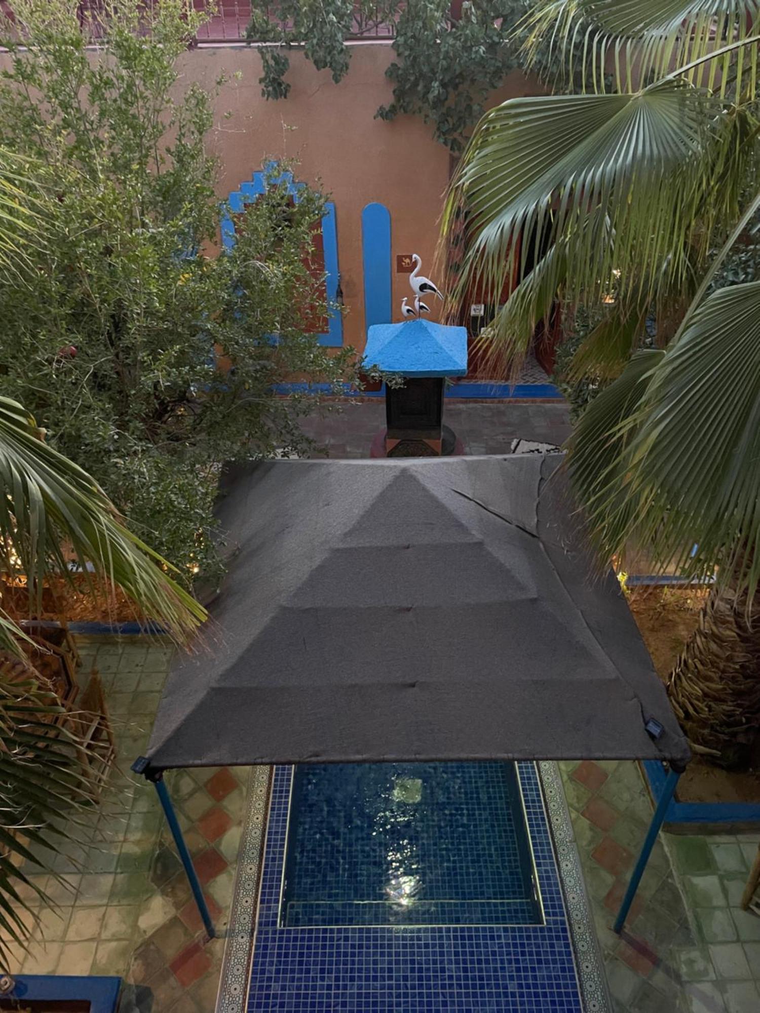 Riad Dades Birds Boumalne エクステリア 写真
