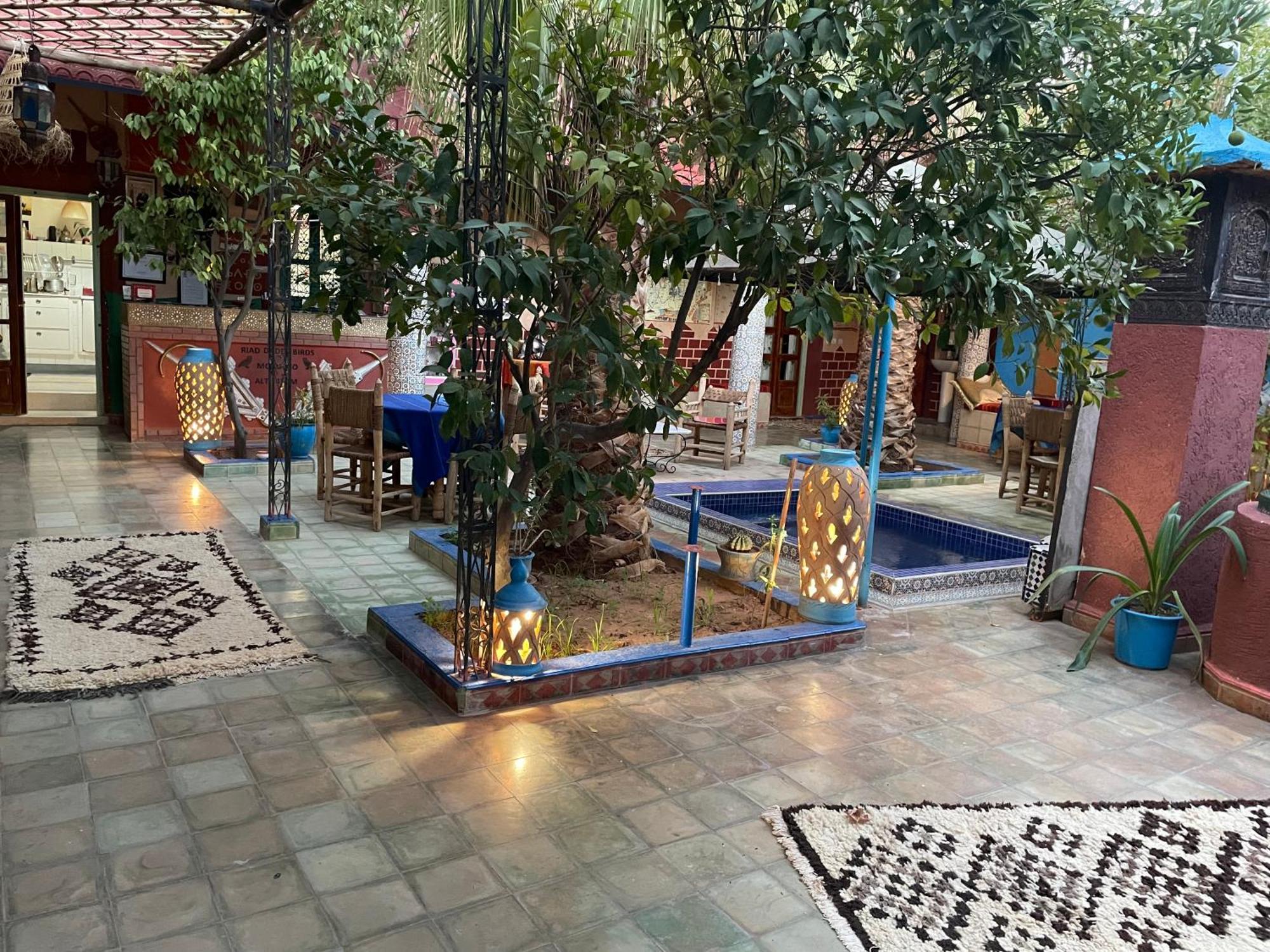 Riad Dades Birds Boumalne エクステリア 写真