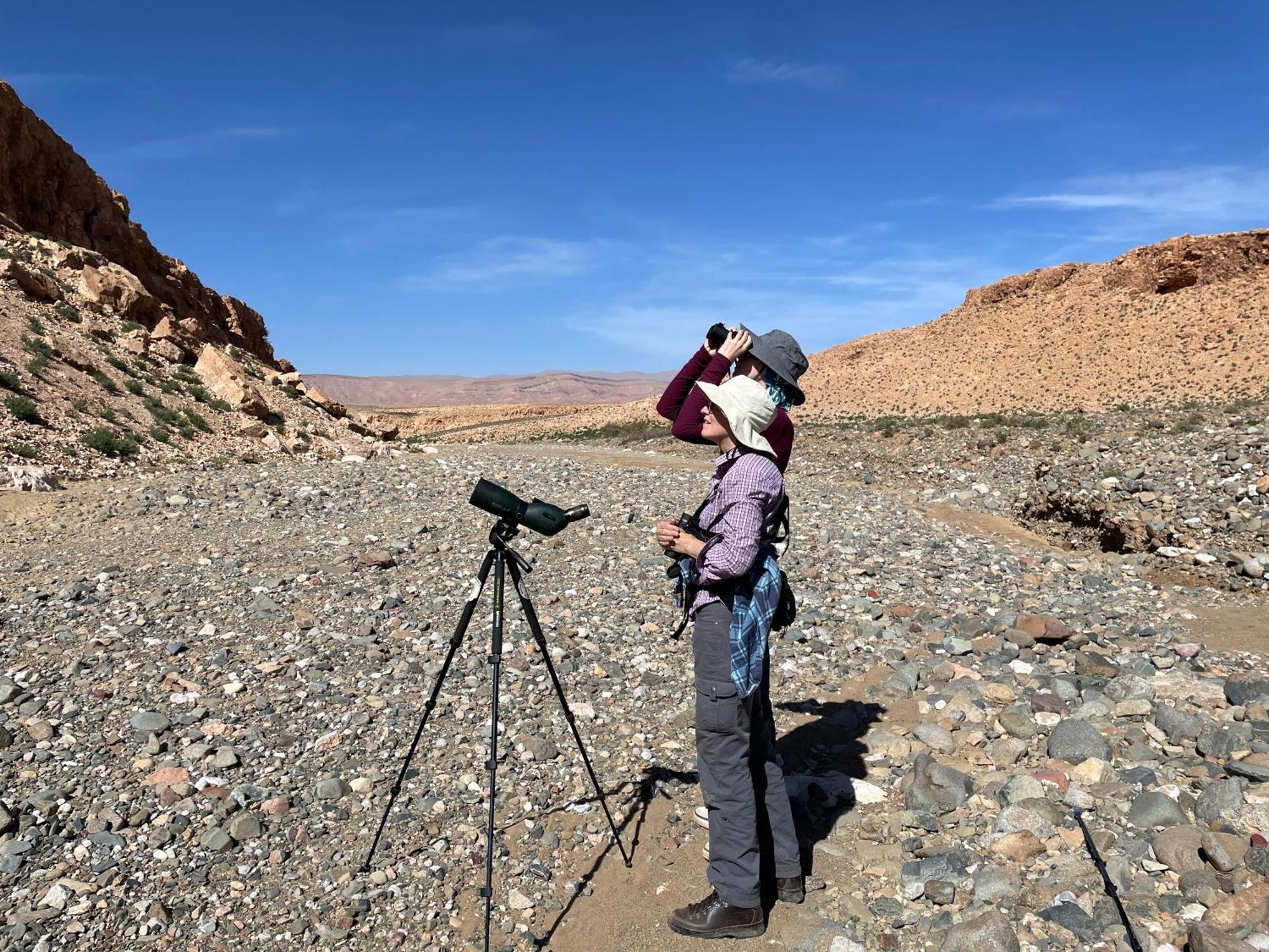 Riad Dades Birds Boumalne エクステリア 写真