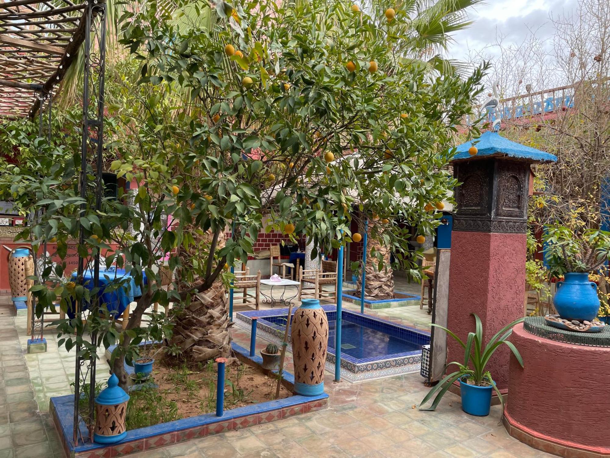 Riad Dades Birds Boumalne エクステリア 写真