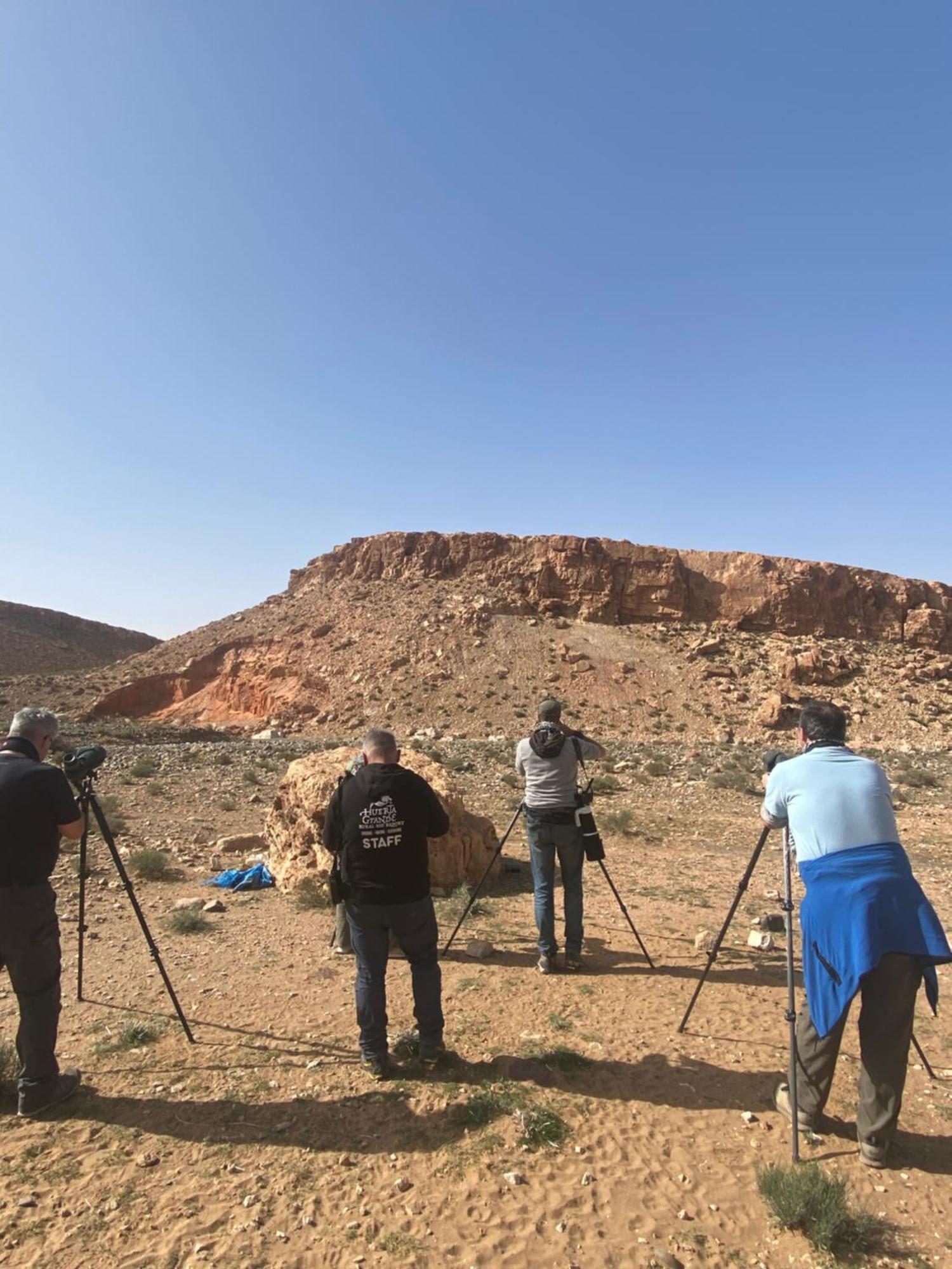 Riad Dades Birds Boumalne エクステリア 写真